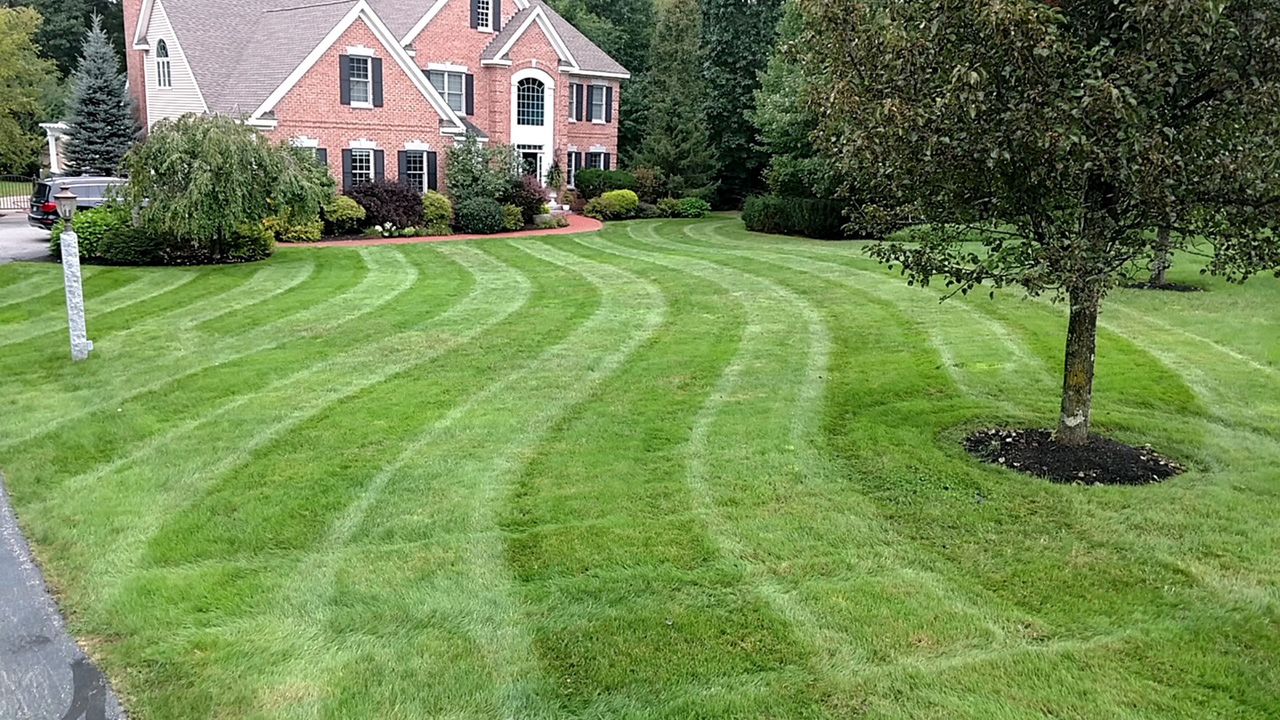 Firman Lawn Care Residential Commercial Landscaping Services